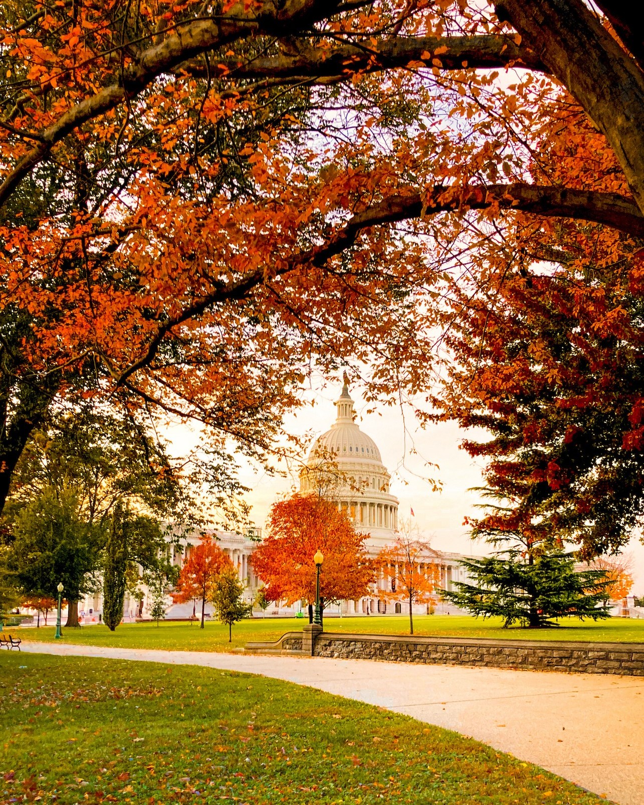 Tour Mỹ mùa thu năm 2026 - Hành trình liên tuyến Đông Tây 10 ngày 9 đêm Hoa Kỳ và Mexico (Áp dụng tour Mỹ thăm thân)