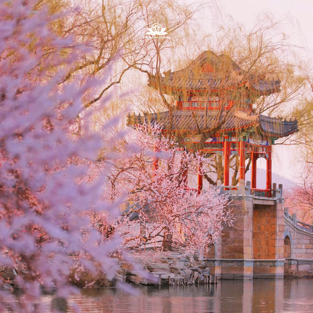 Tour BẮC KINH mùa hoa anh đào 2026: CỔ BẮC THỦY TRẤN – VẠN LÝ TRƯỜNG THÀNH – CỐ CUNG