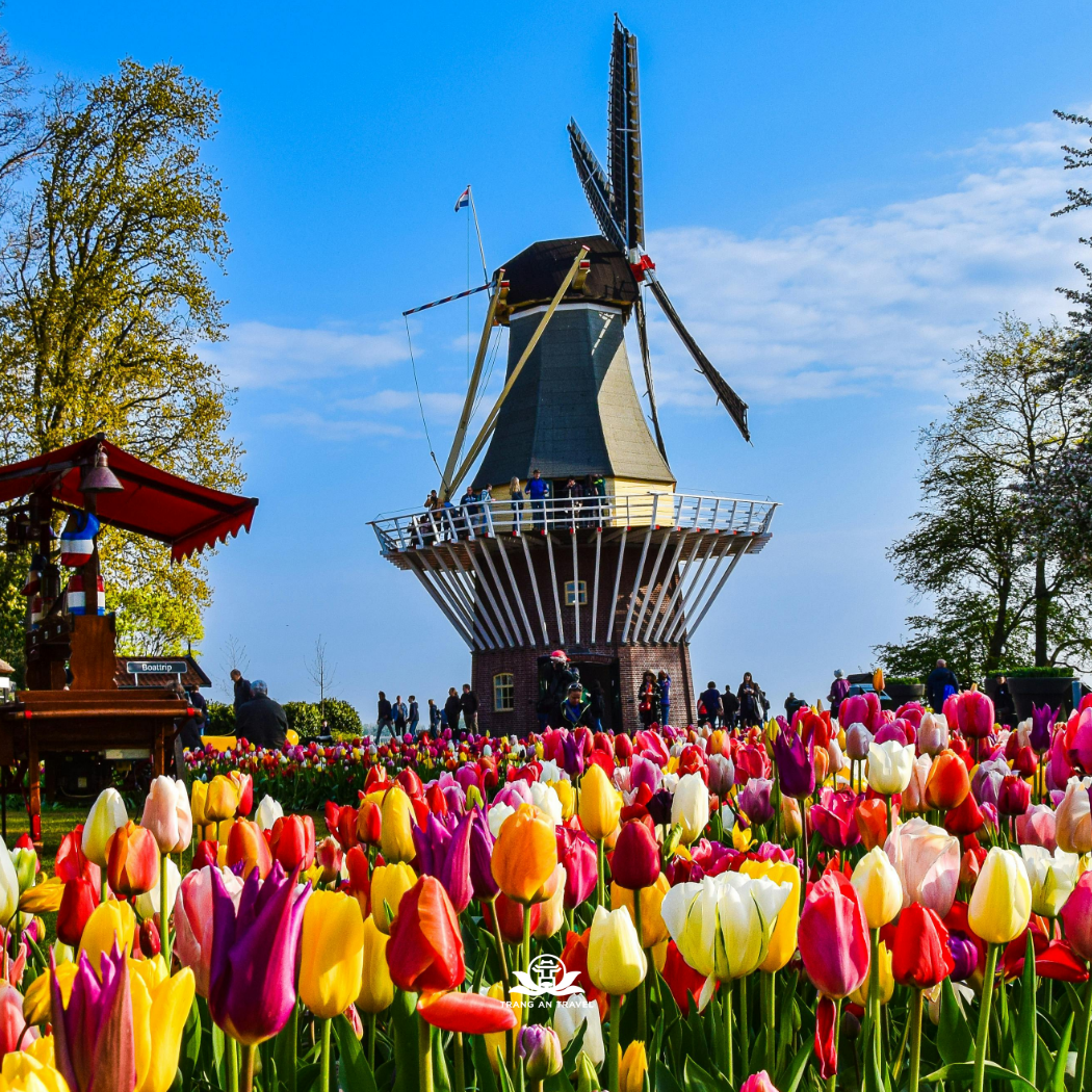 Tour Châu Âu 6 nước - Tham quan Lễ hội hoa Keukenhof năm 2026: ĐỨC – THỤY SĨ – LUXEMBOURG – HÀ LAN – BỈ - PHÁP