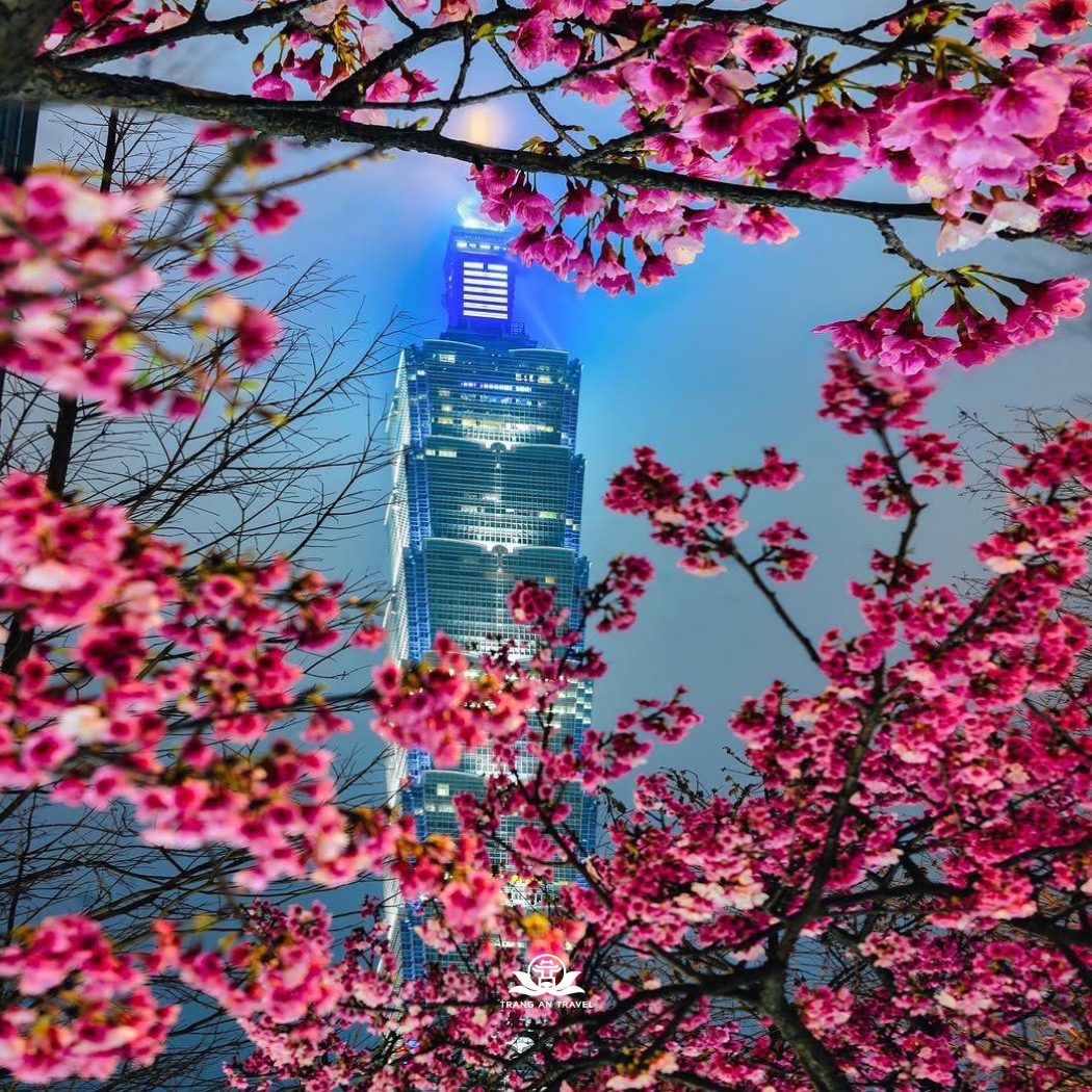 Tour Đài Loan Tết Nguyên đán 2026: ĐÀI NAM – ĐÀI BẮC – CAO HÙNG - Thưởng lãm mùa hoa anh đào xứ trà sữa ngọt ngào