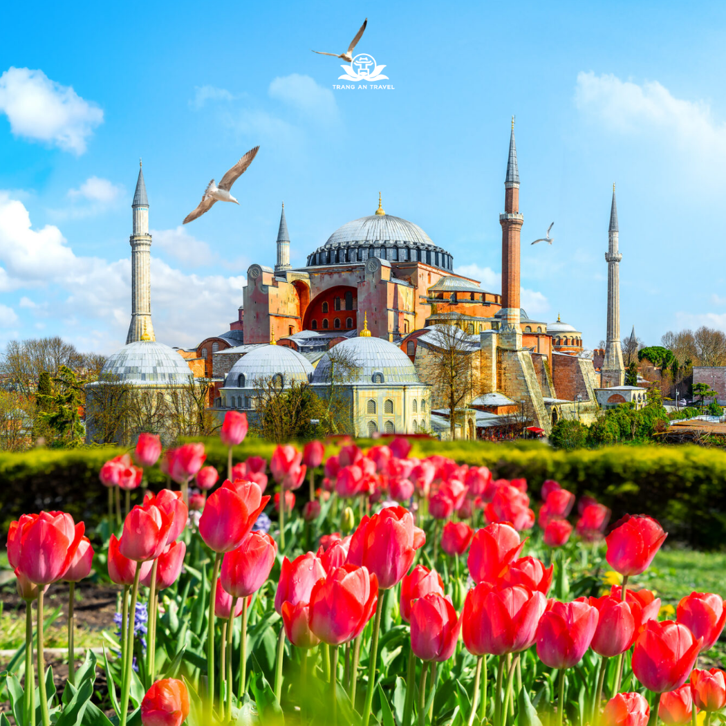 Tour Hy Lạp - Thổ Nhĩ Kỳ lễ 30/4 năm 2026 - Hành trình 11 ngày 10 đêm mùa hoa tulip: ATHENS – SANTORINI – OIA – ISTANBUL – CANAKKALE – IZMIR –PAMUKKALE – CAPPADOCIA – ISTANBUL   