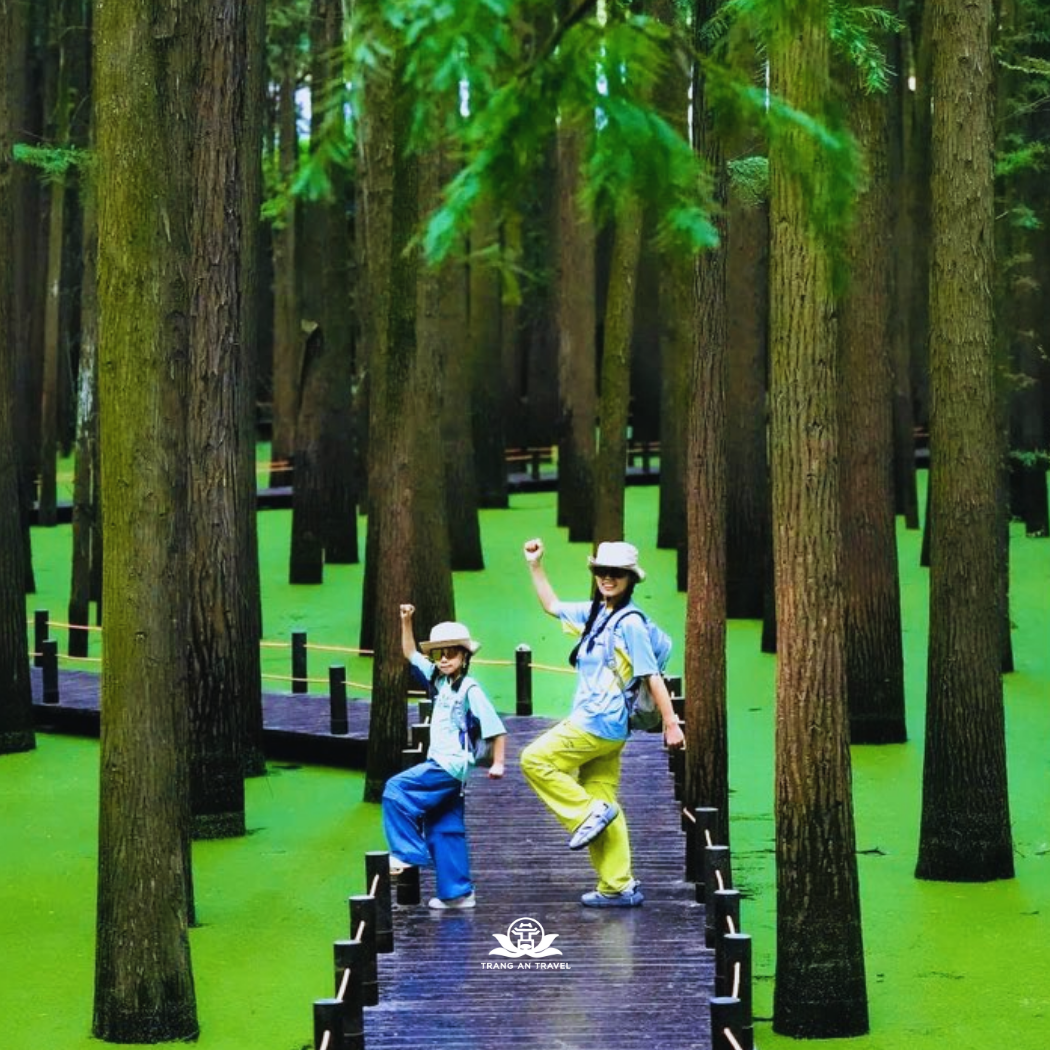 Tour THƯỢNG HẢI - HÀNG CHÂU - ĐẦM LẦY THANH SƠN - THANH HÀ PHƯỜNG