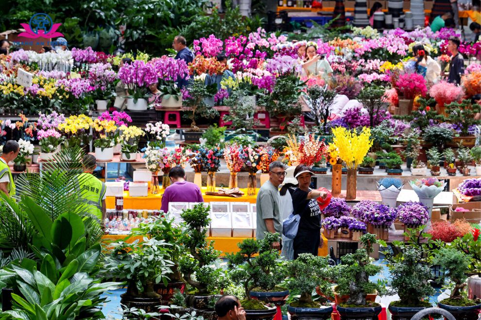 Chợ Hoa Đấu Nam Côn Minh: Đi Lúc Nào Đẹp, Có Gì Và Kinh Nghiệm Tham Quan
