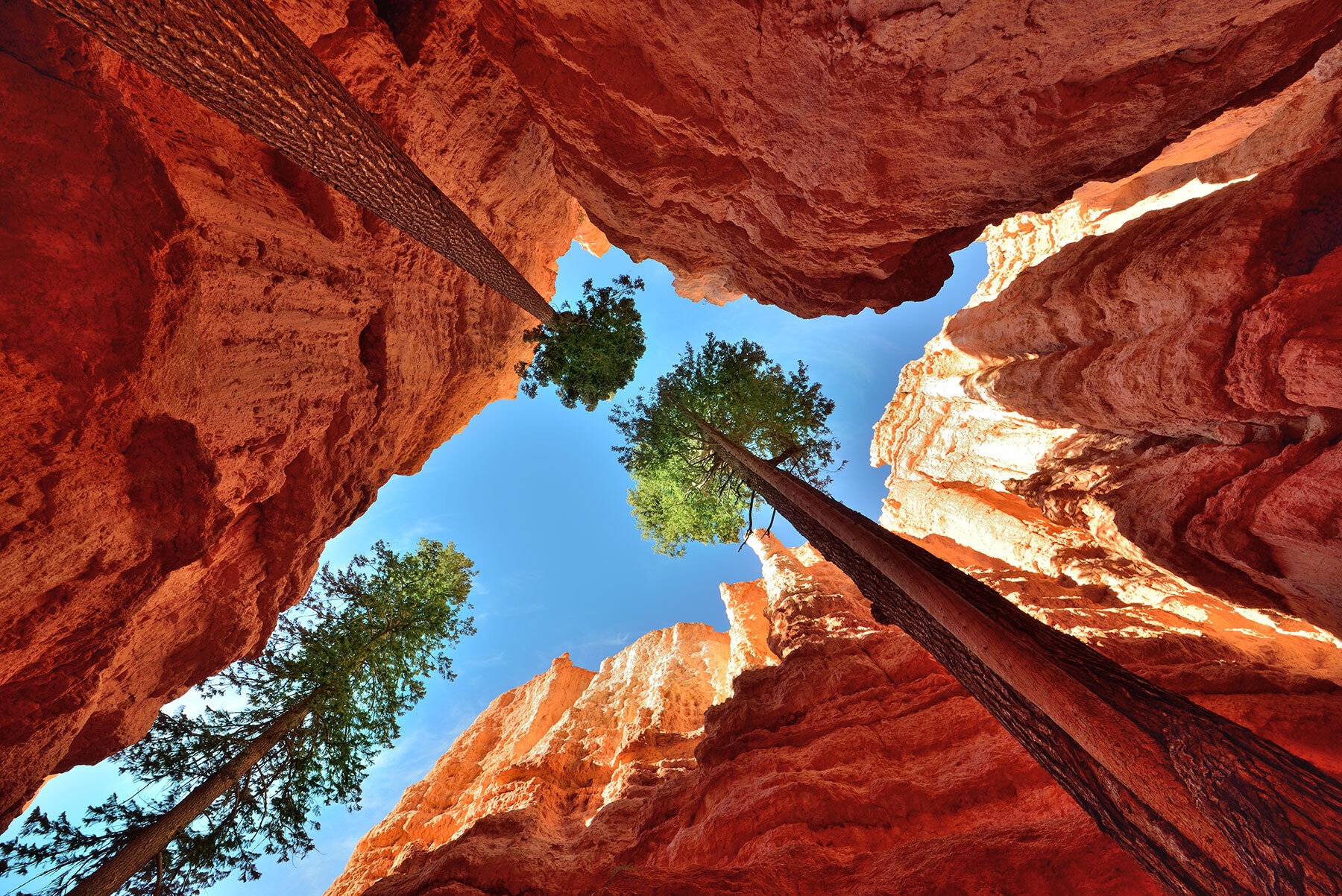 Tham quan Bryce Canyon trong chuyến du lịch Mỹ