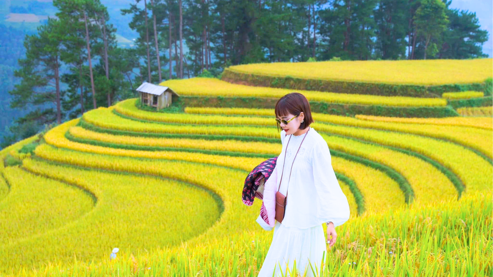 Ảnh