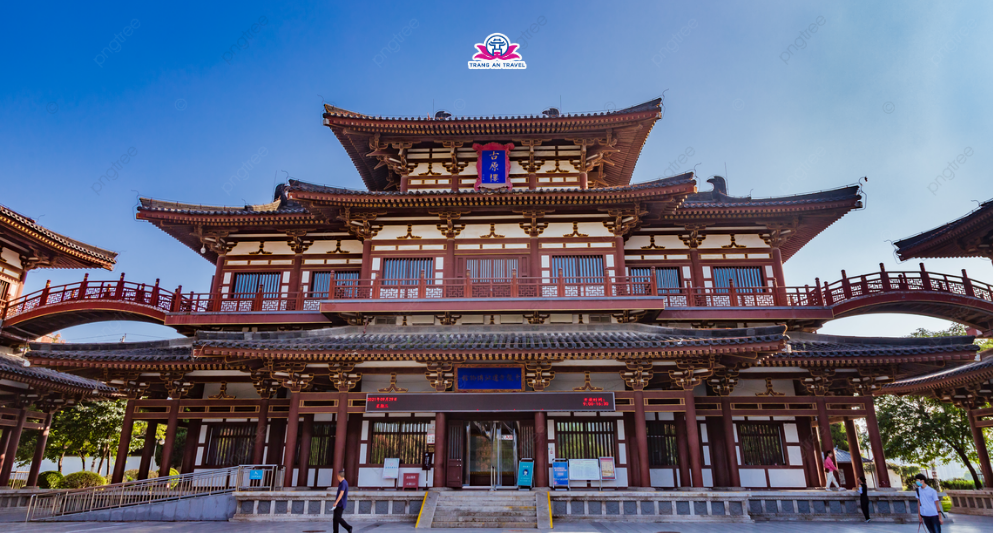 Ảnh
