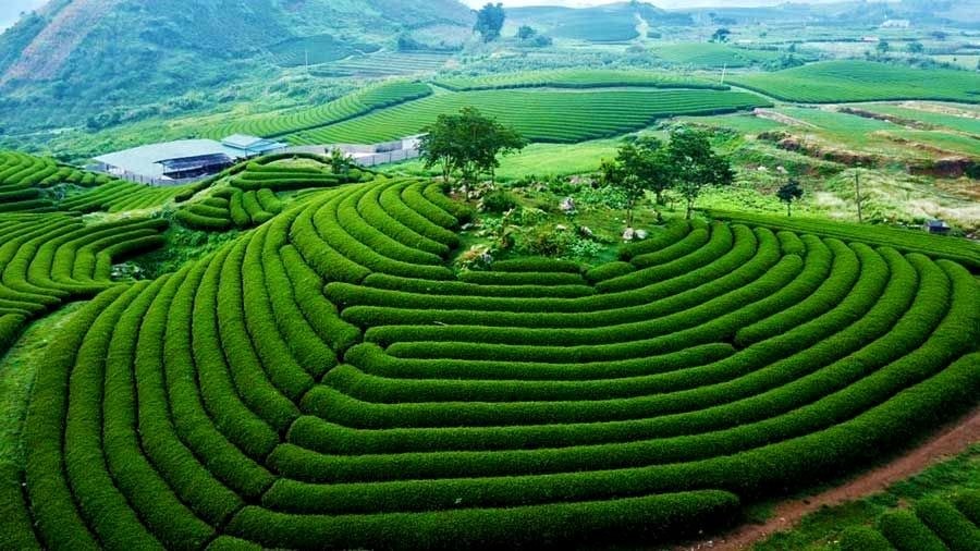 Tour Mộc Châu - Bản Lác Mai Châu năm 2026 - Lịch khởi hành thứ 7 hàng tuần từ Hà Nội