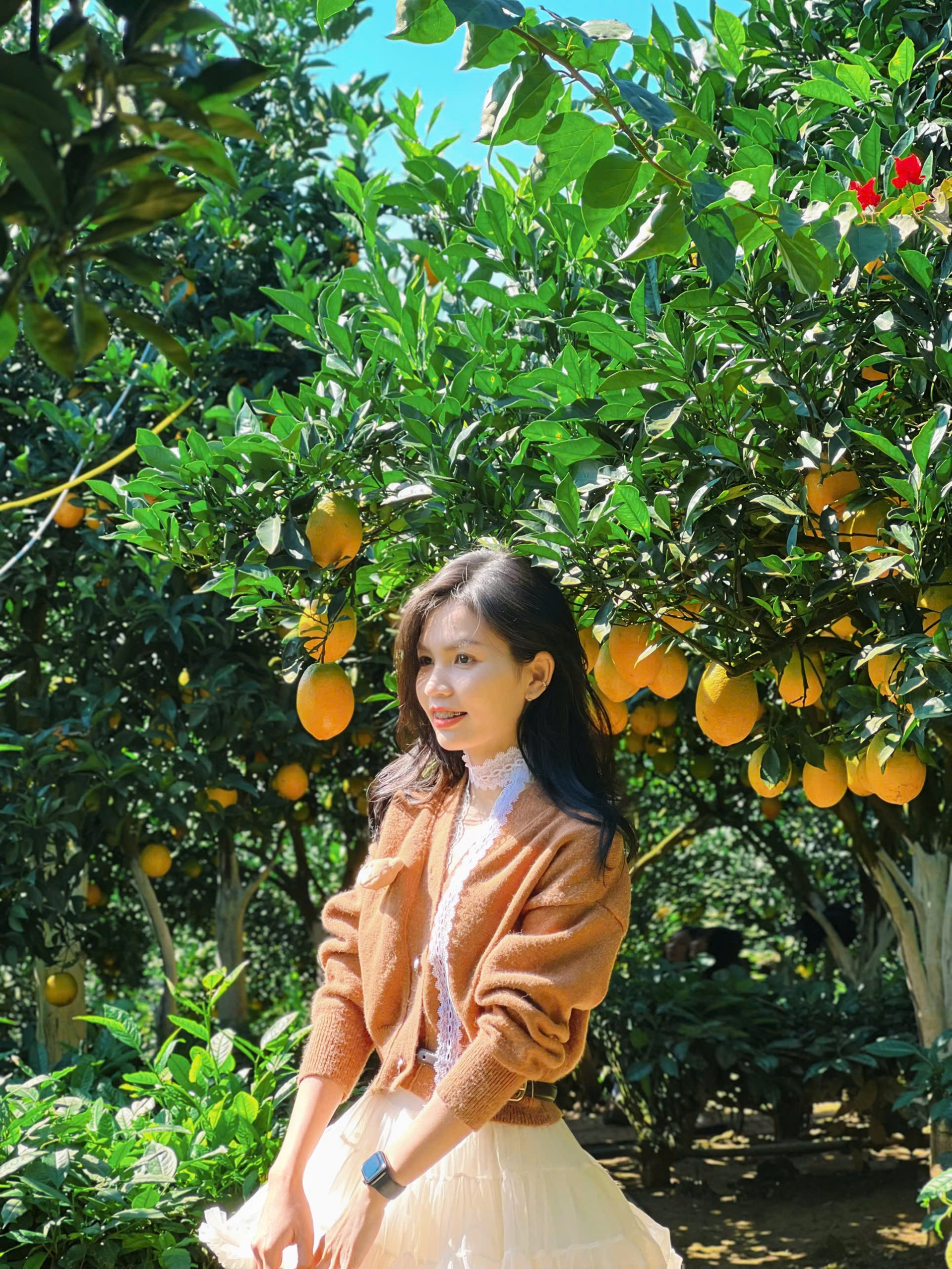 6 điều nên làm khi du lịch Mộc Châu mùa đông - xuân