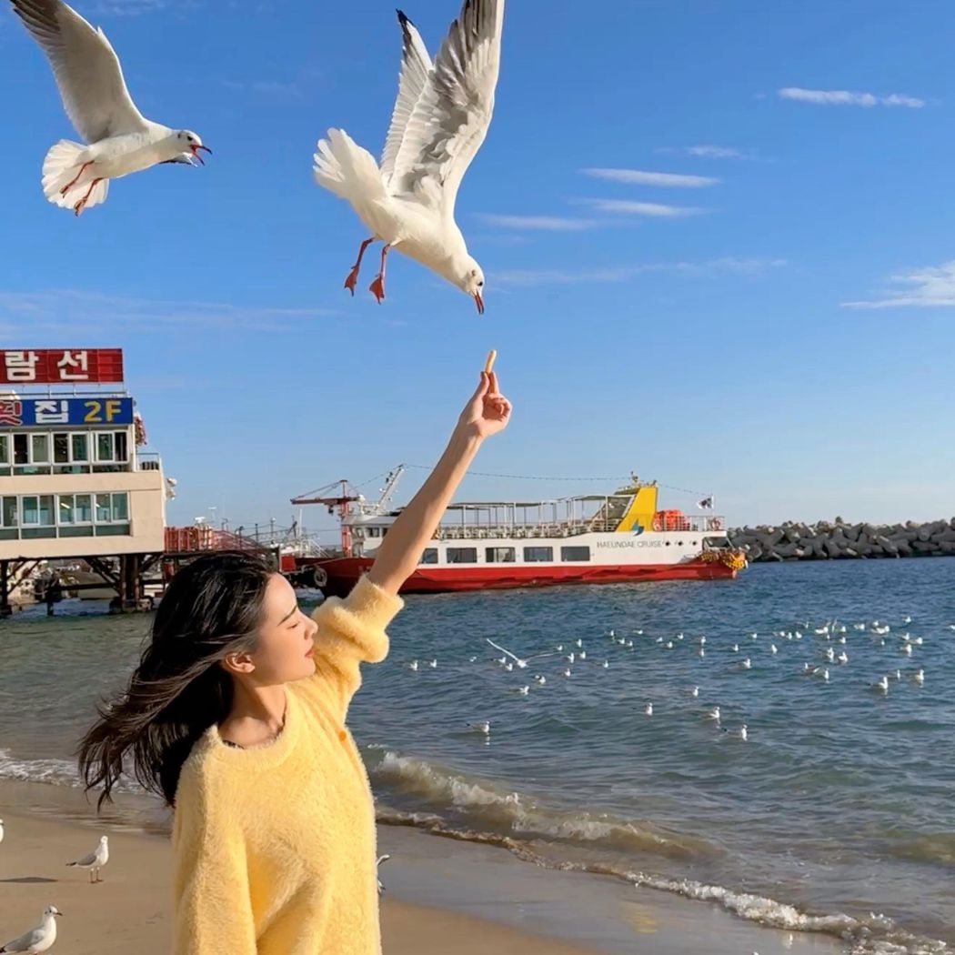 TOUR HÀN QUỐC 2026: BUSAN - TRƯỢT TUYẾT ELYSIAN - SEOUL - INCHEAON | BẢN TÌNH CA MÙA ĐÔNG XỨ HÀN 6N5Đ