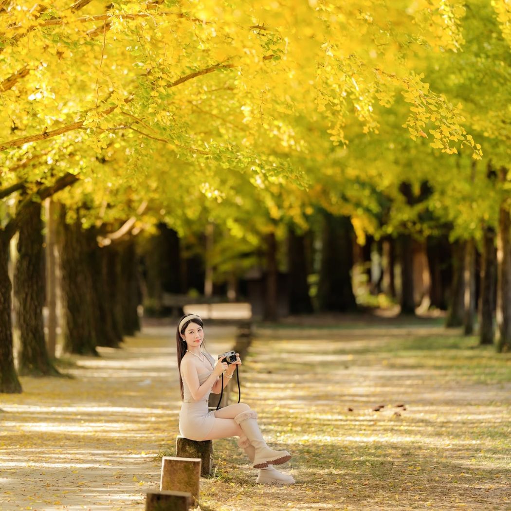TOUR HÀN QUỐC MÙA THU 2026: SEOUL - NAMI - EVERLAND | 5N4Đ BAY VIETNAM AIRLINES (lịch khởi hành mùa thu)