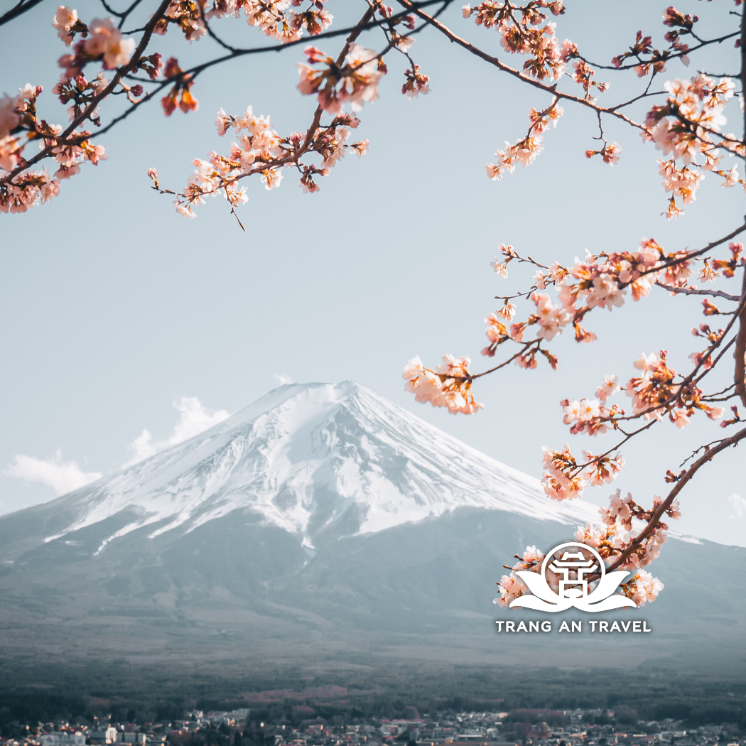 Tour Du Lịch Nhật Bản: Nagoya– Kyoto – Matsumoto – Làng Cổ Shirakawago – Núi Phú Sĩ – Tokyo 6 Ngày 5 Đêm Bay Vietnam Airlines (Ngắm Hoa Anh Đào)