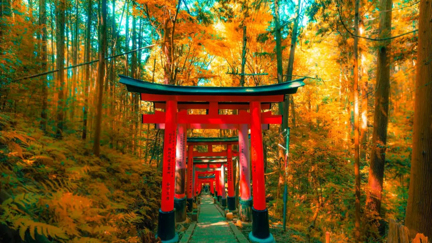 Ảnh
