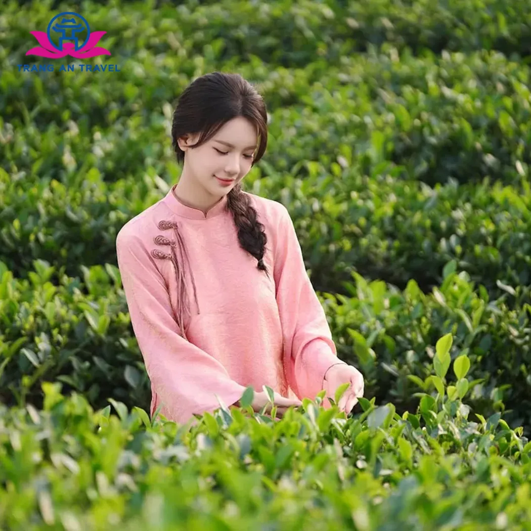 HÀ NỘI – Ga Lưu Xá – Di tích 915 – Khu sinh thái Dũng Tân – HTX Chè Hảo Đạt – Không gian văn hóa trà  -  Quảng trường Võ Nguyên Giáp