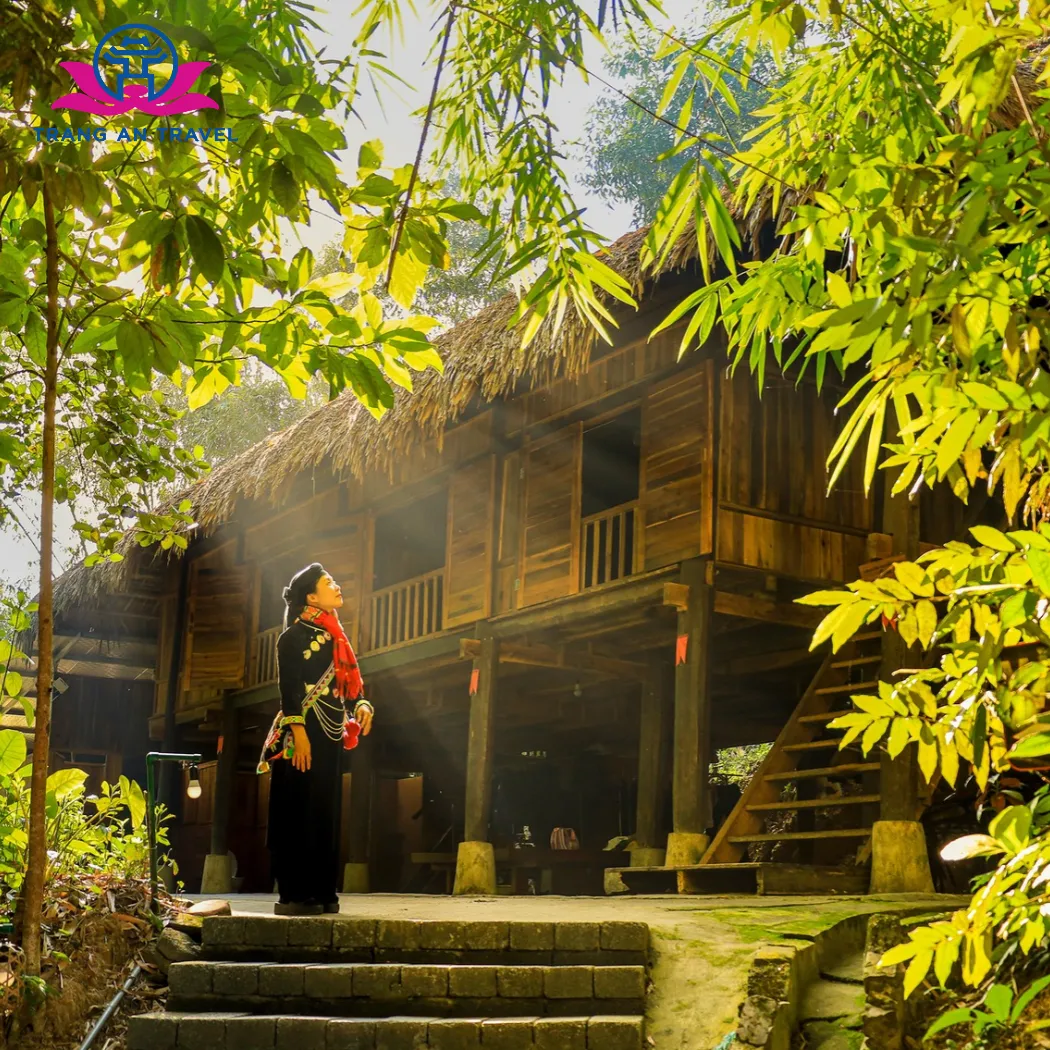 Hà Nội – Ga Lưu Xá – Di tích 915 – Thái Hải – Không gian văn hóa trà Tân Cương – HTX Chè Hảo Đạt – Quảng trường Võ Nguyên Giáp – Ga Lưu Xá – Hà Nội