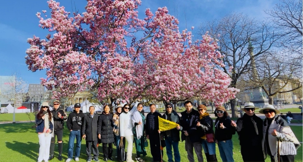 Các lễ hội hoa châu Âu mùa xuân 2026 đẹp nhất không nên bỏ lỡ