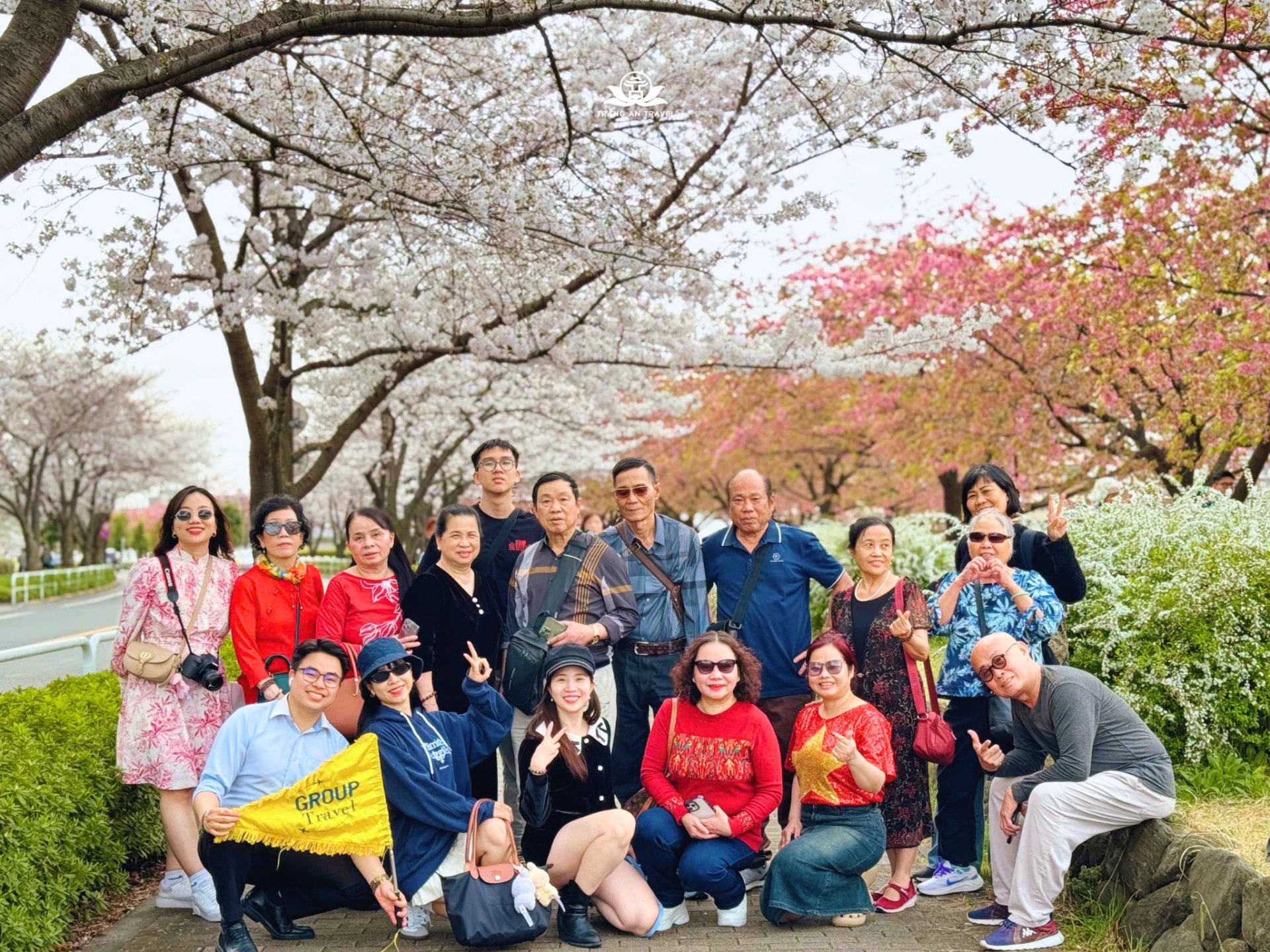 tour Nhật Bản mùa anh đào
