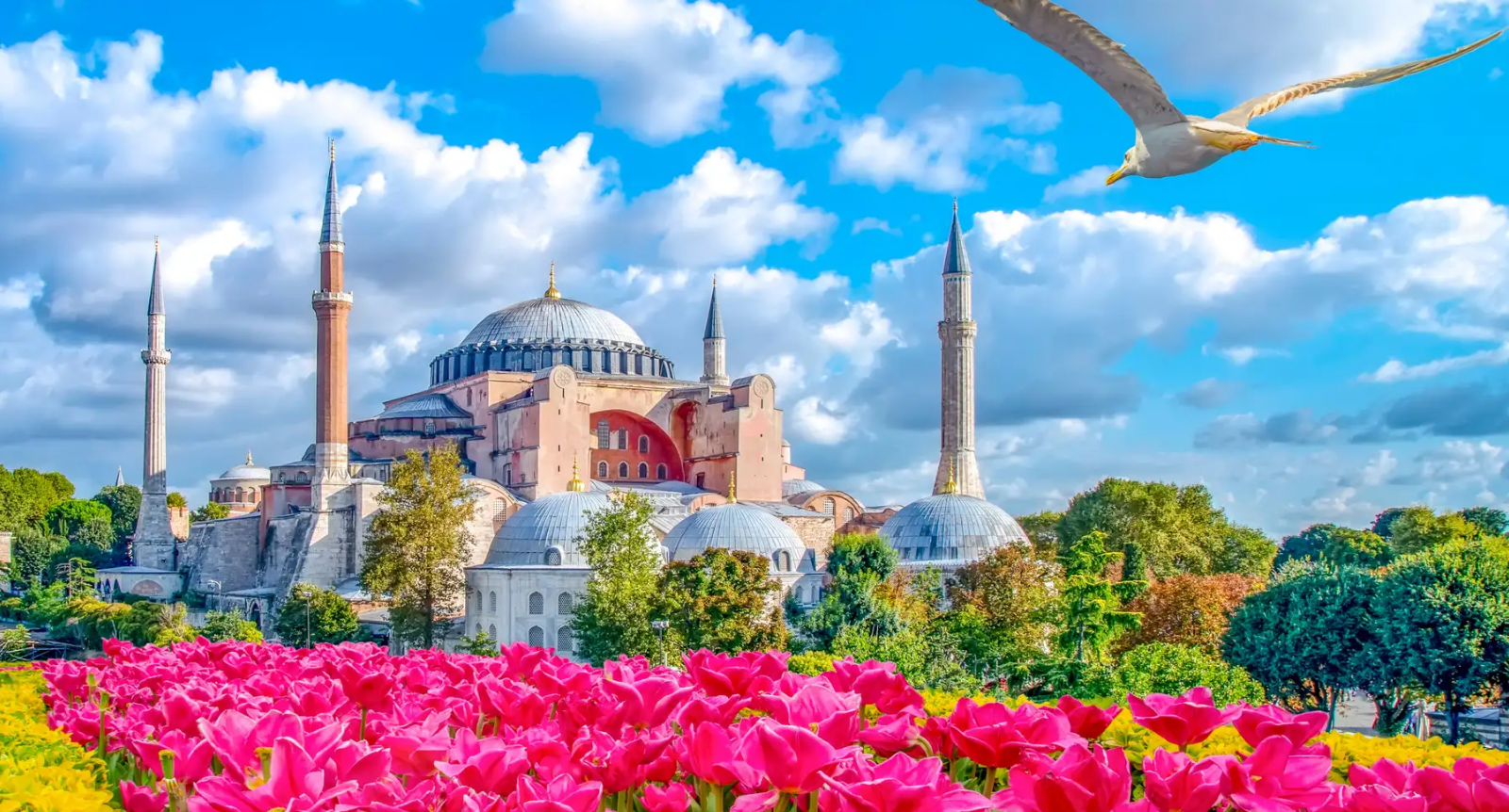 Kinh nghiệm du lịch Thổ Nhĩ Kỳ mùa hoa tulip – Cập nhật mới nhất cho mùa xuân năm 2026