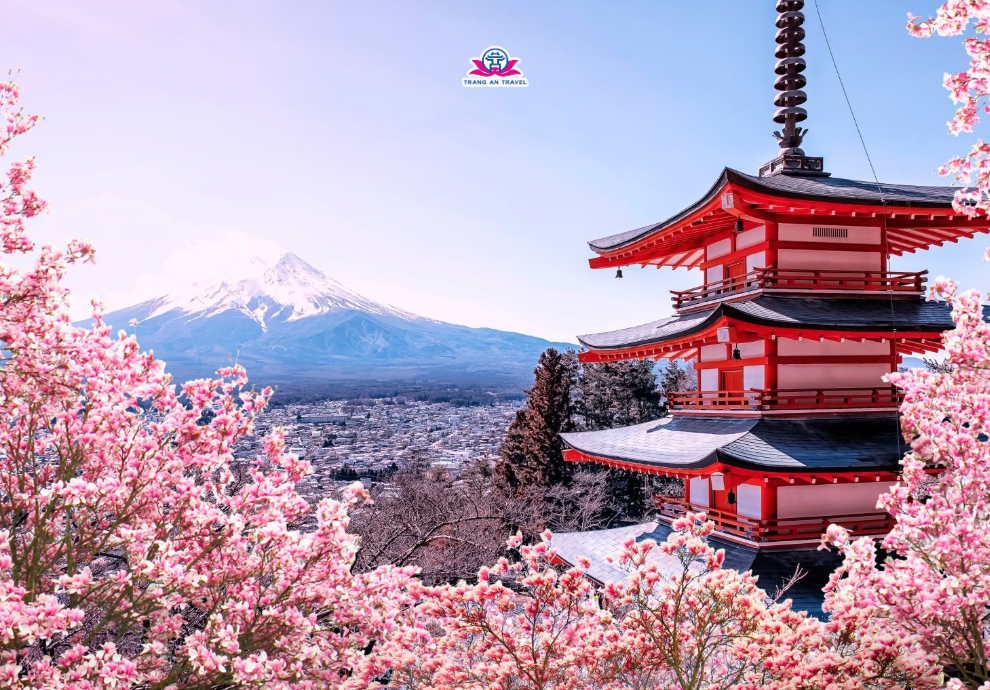 tour Nhật Bản mùa hoa anh đào