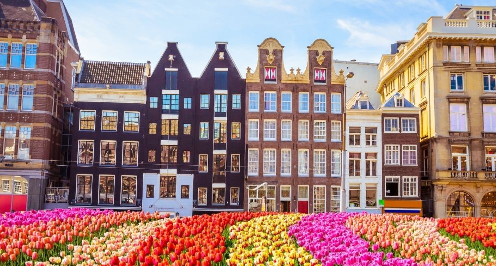 Thời tiết Hà Lan tháng 3 – Khi mùa xuân gõ cửa xứ sở hoa Tulip
