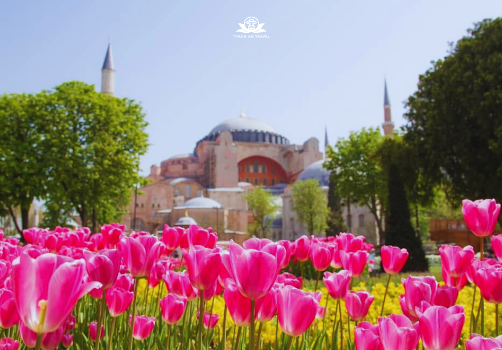 Đi du lịch Thổ Nhĩ Kỳ ngắm mùa hoa tulip ở đâu đẹp?