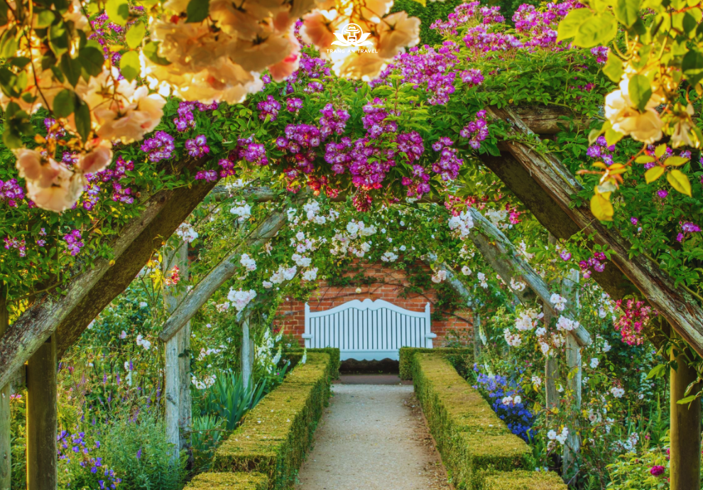 5 lễ hội hoa tuyệt vời nhất nước Anh