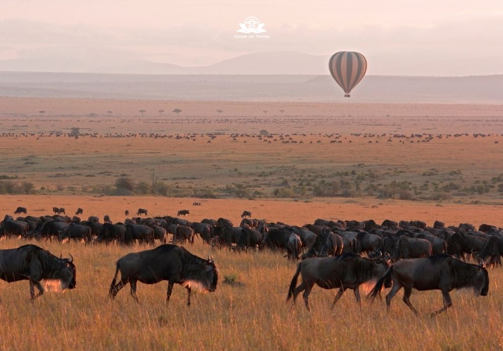 tour Kenya - Tanzania