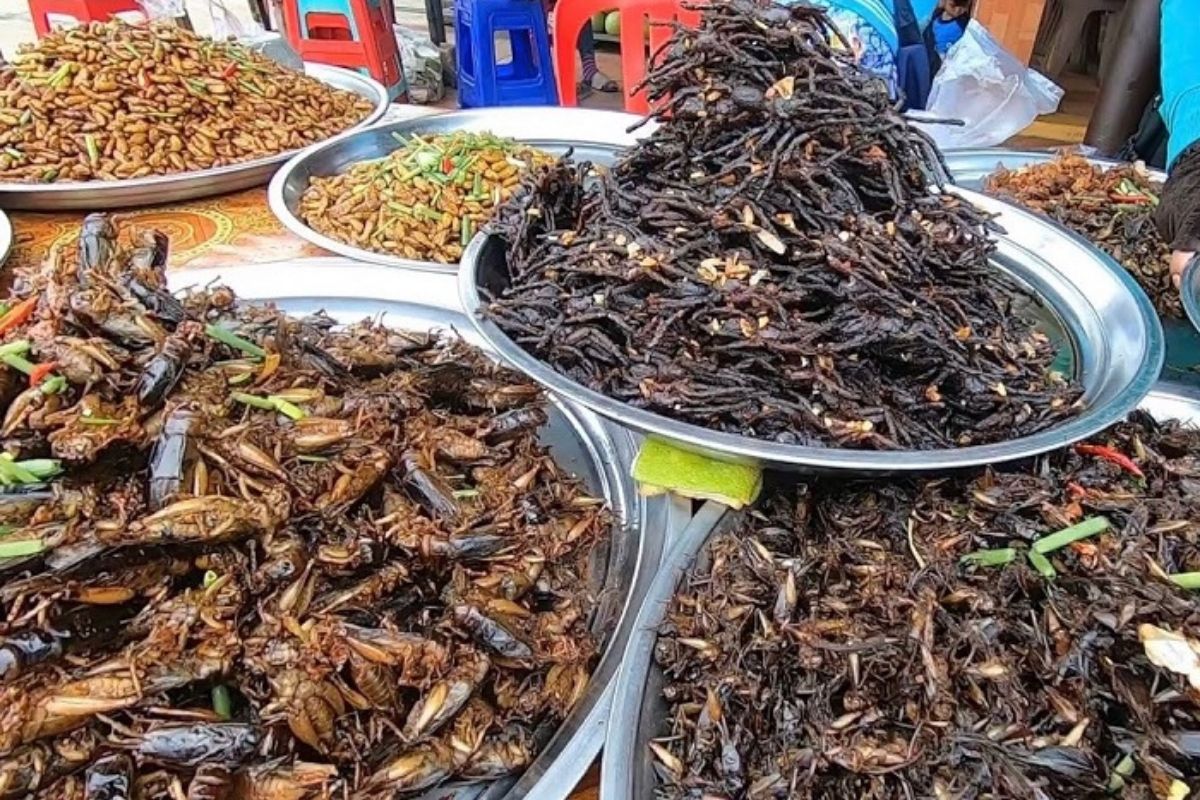 món ăn côn trùng ở campuchia