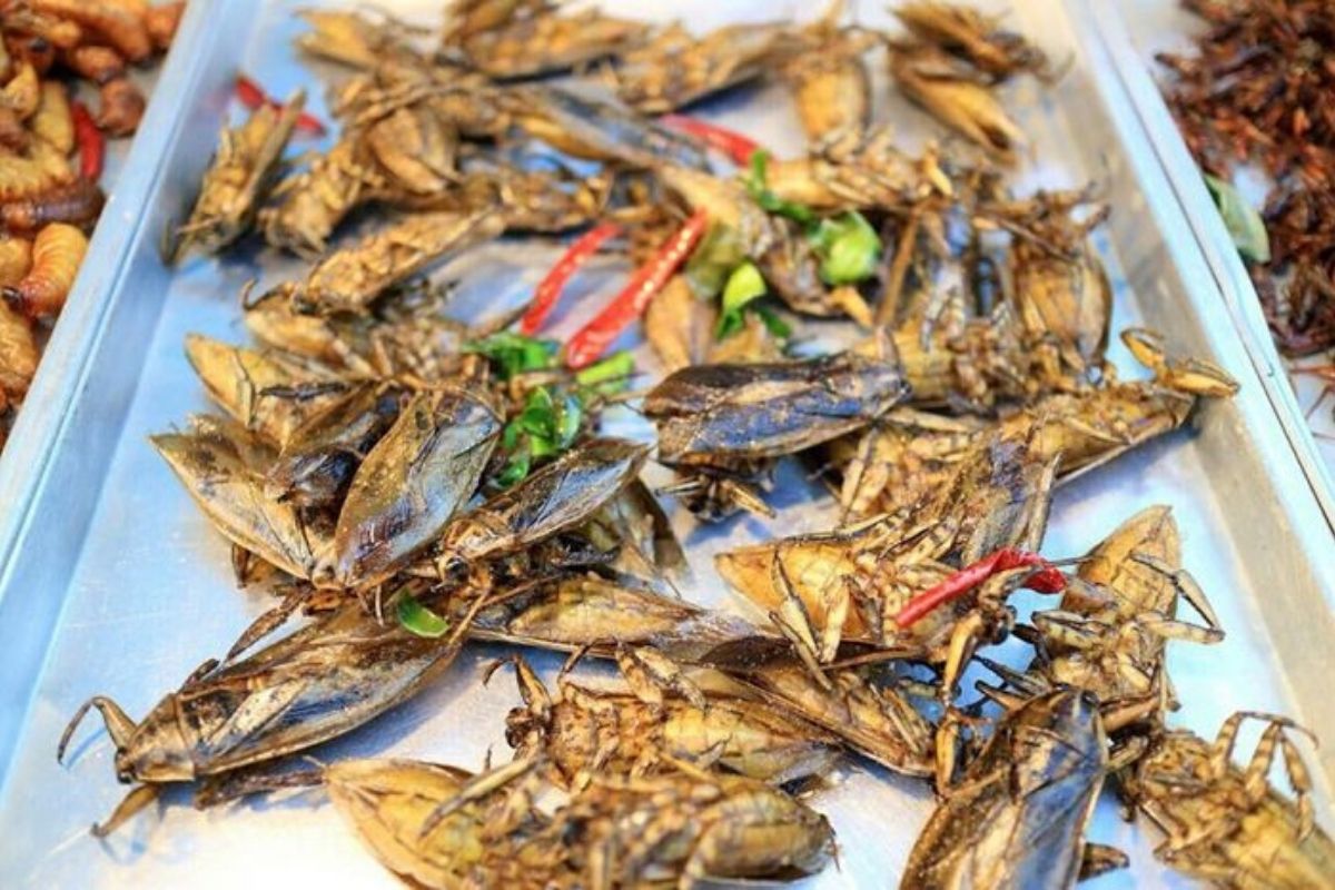 món ăn côn trùng ở campuchia