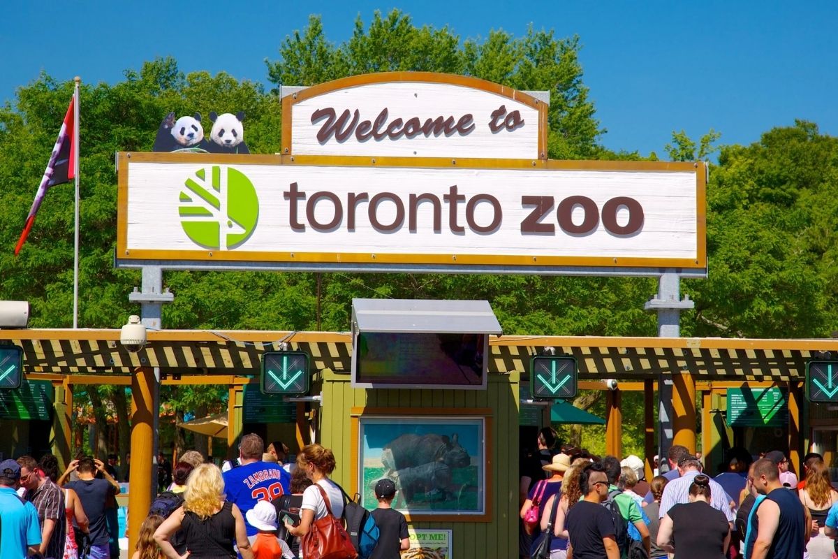 vườn thú toronto