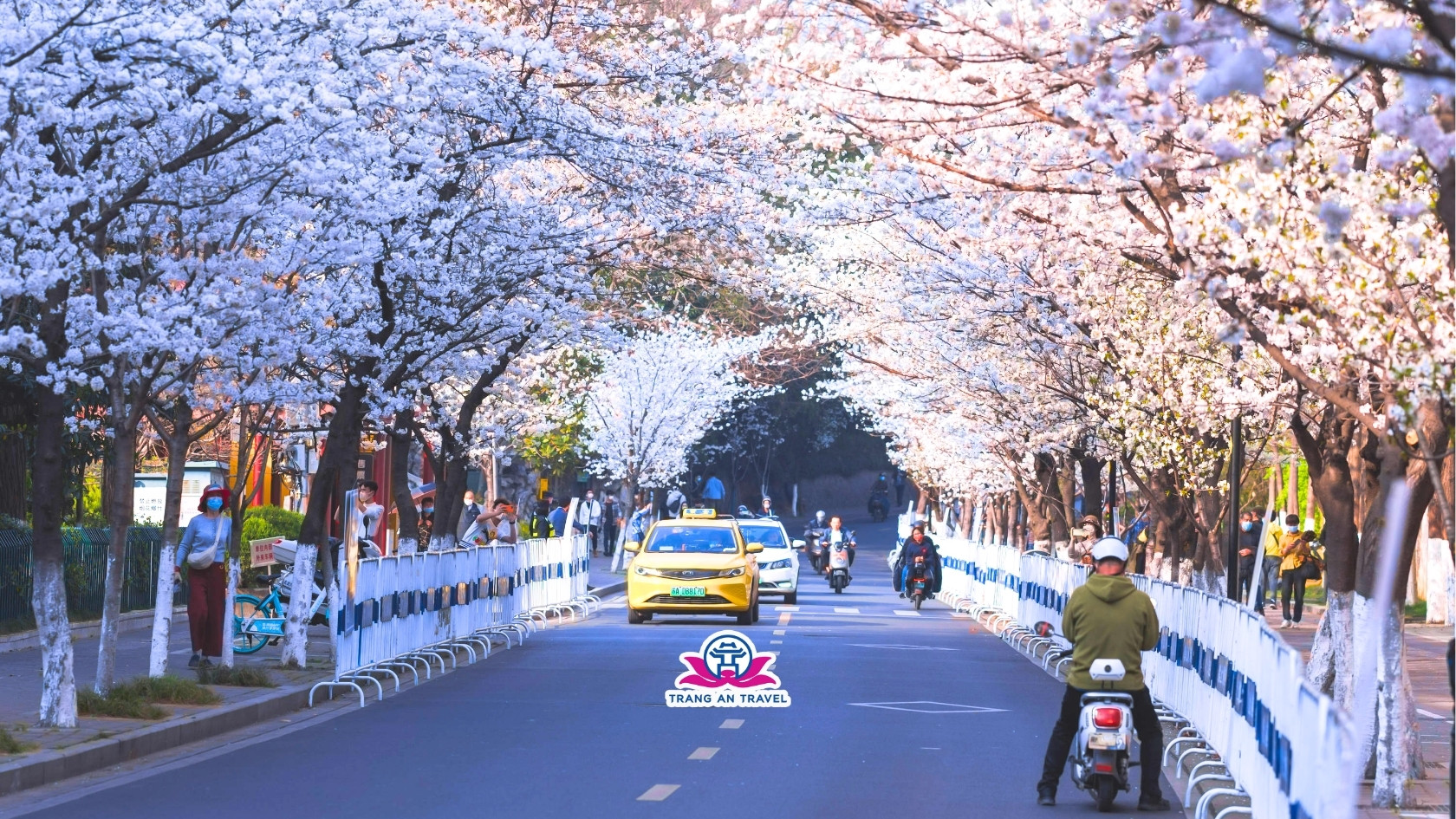 Tour Nam Kinh