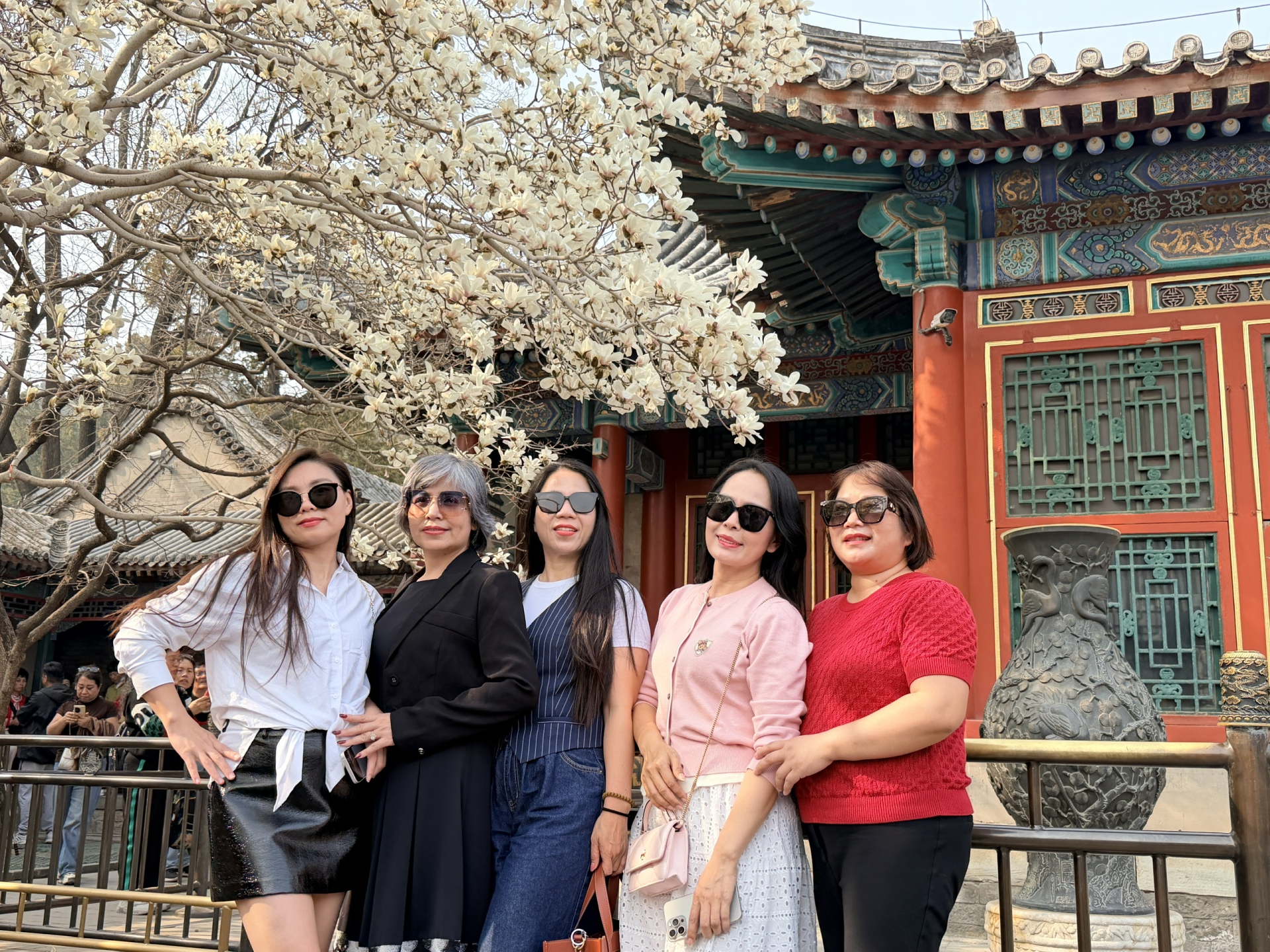 Hành trình Bắc Kinh - Thượng Hải | No shopping - Chiêm ngưỡng mùa hoa mộc lan tuyệt đẹp