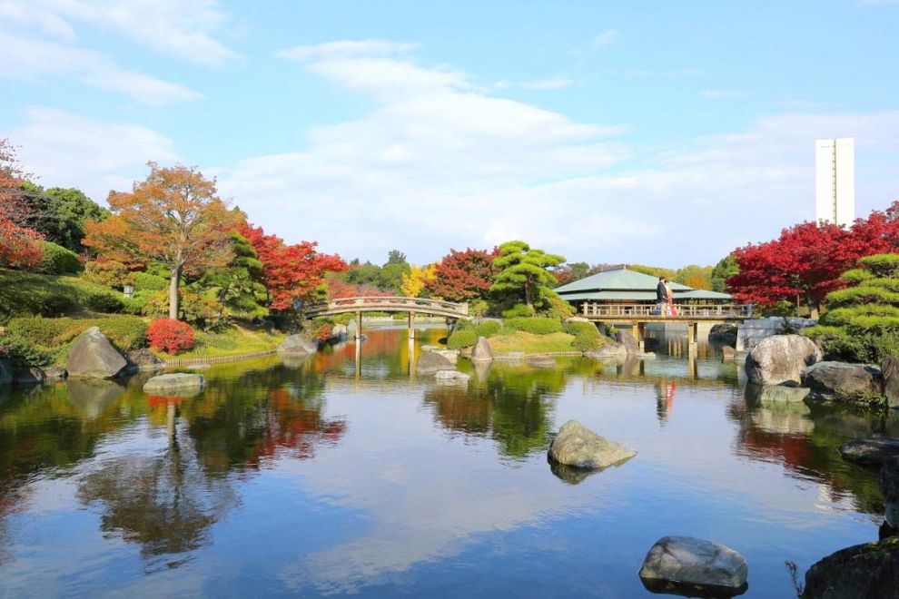 Mùa Thu Osaka Có Gì? Những Lễ Hội Và Sự Kiện Không Nên Bỏ Lỡ