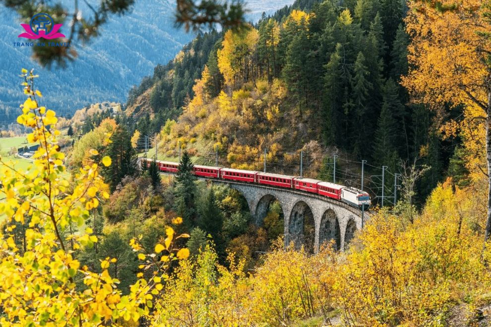 Mùa Thu Thụy Sĩ Có Gì Đẹp? Hành Trình Xuyên Qua Mùa Lá Vàng Giữa Dãy Alps