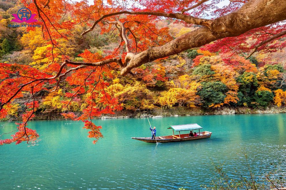 Lễ Hội Lá Đỏ Nhật Bản: Thời Điểm Đẹp Nhất Để Ngắm Mùa Thu Xứ Phù Tang
