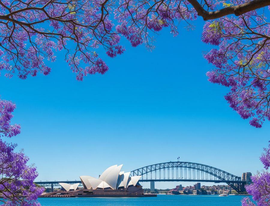 Mùa xuân nước Úc 2026: Rực rỡ lễ hội Floriade