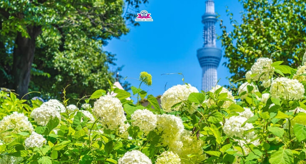 Tokyo