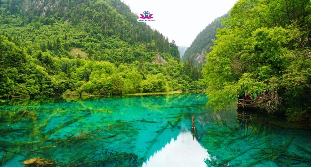 Tour Cửu Trại Câu Mùa Hè – Lạc Giữa Thiên Nhiên Thần Thoại Trong Tour Trung Quốc