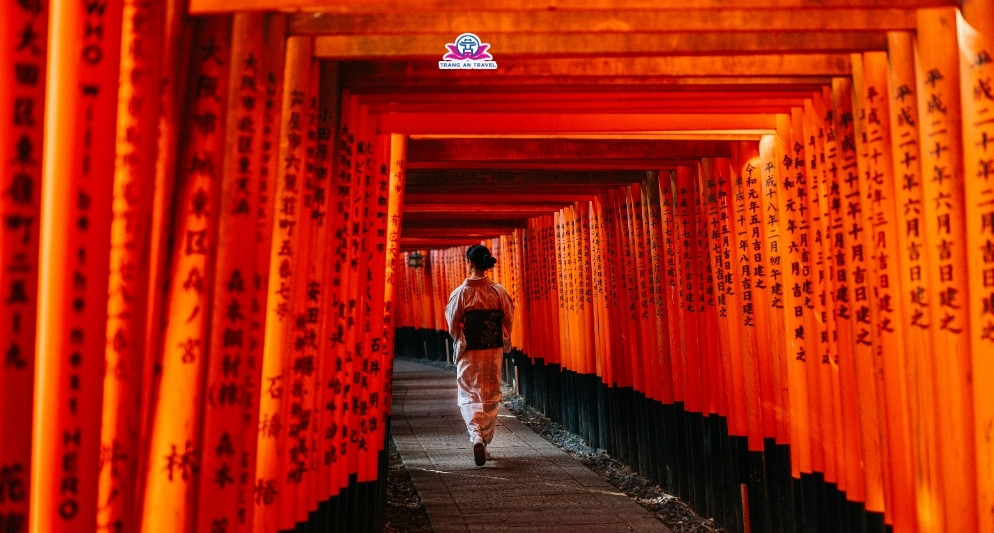 Tour Nhật Bản kết hợp tuần trăng mật – Hành trình lãng mạn cho cặp đôi năm 2025