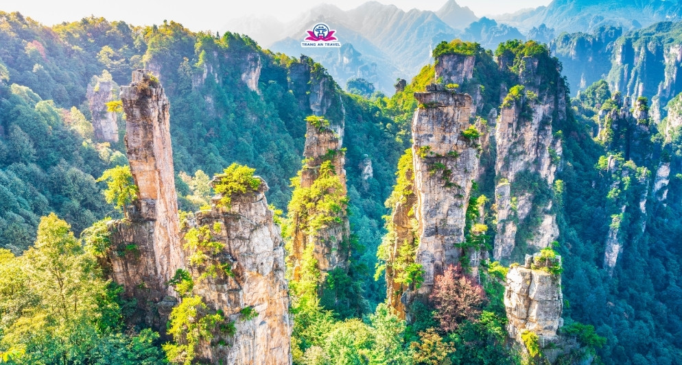 Tour Trung Quốc khám phá Trương Gia Giới – chốn bồng lai giữa đời thực