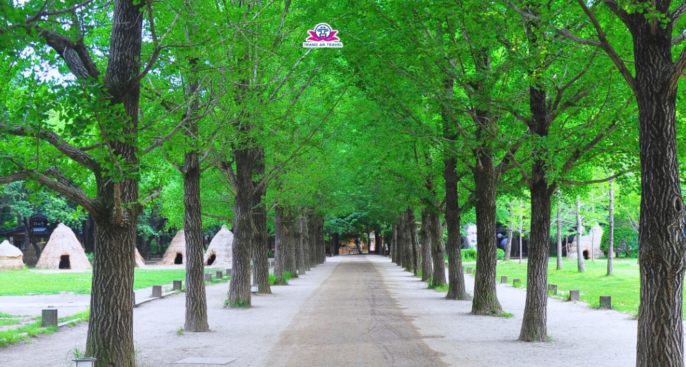 đảo Nami