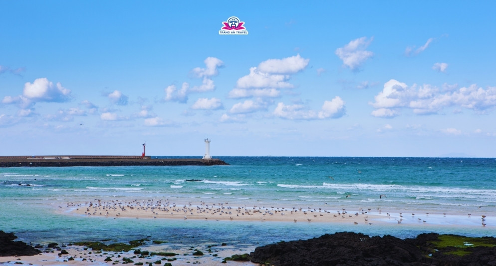 Những bãi biển đẹp nhất đảo Jeju cho gia đình – Gợi ý lý tưởng cho chuyến nghỉ dưỡng an toàn, thư giãn