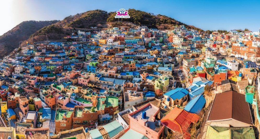 Các trải nghiệm mùa đông khi du lịch Busan nhất định phải thử năm nay