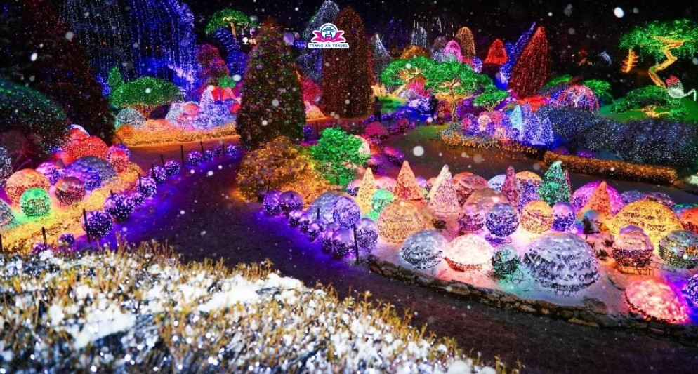 Lễ hội ánh sáng Hàn Quốc đẹp nhất mùa đông – Trải nghiệm lung linh cho hành trình cuối năm 2025