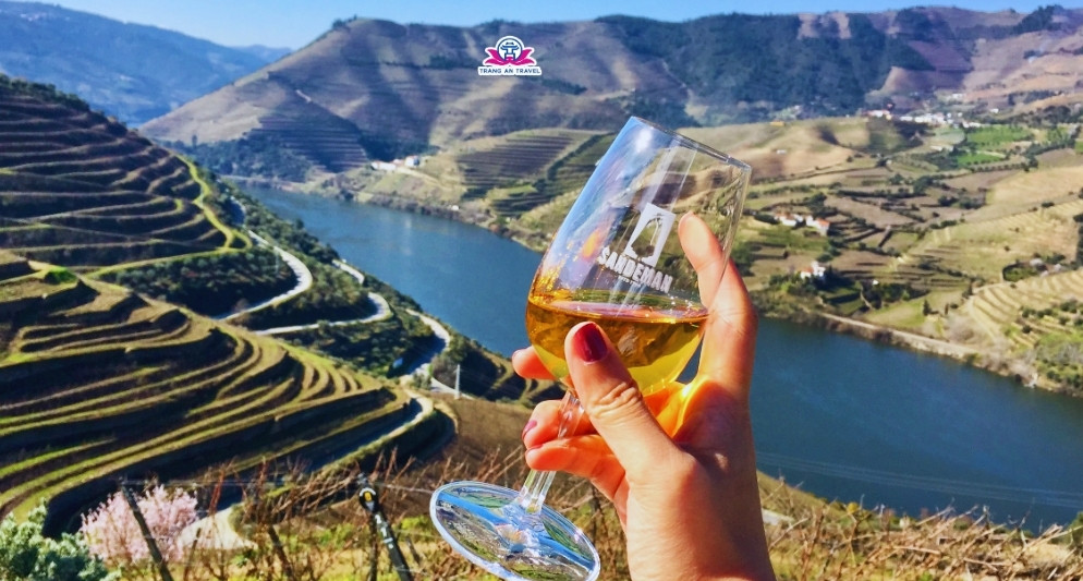 Hành trình tour thử rượu vang danh tiếng ở châu Âu