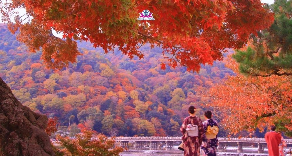 Các điểm ngắm lá vàng lá đỏ đẹp nhất Kyoto trong tour Nhật mùa thu 2025
