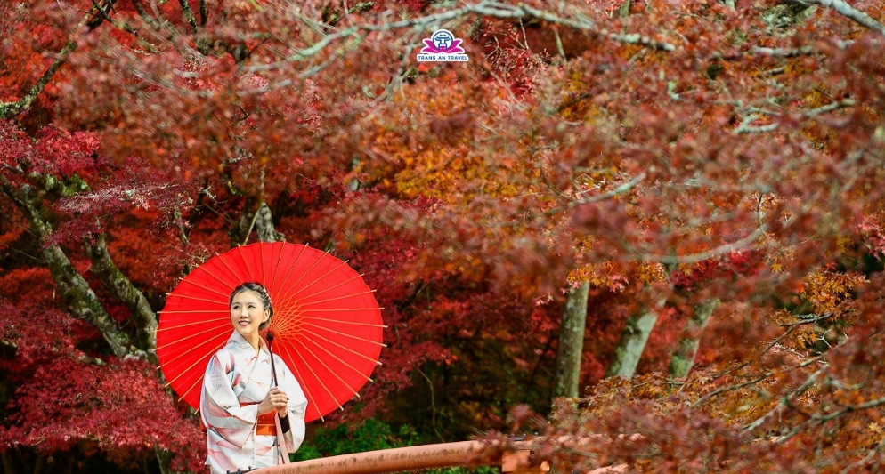 tour Nhật mùa thu 2025