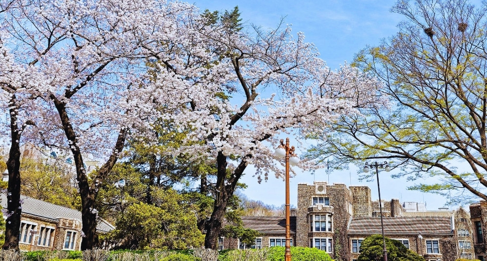 Đại học Yonsei
