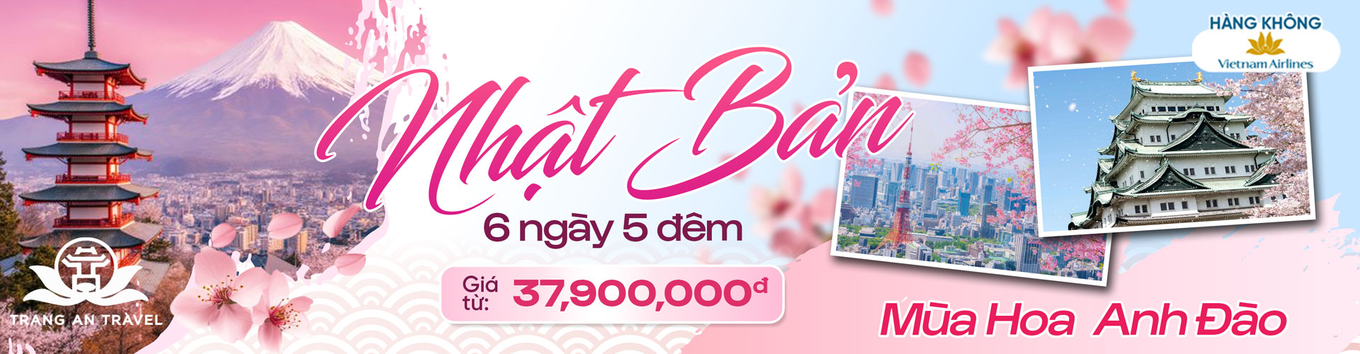 Nhật bản hoa anh đào