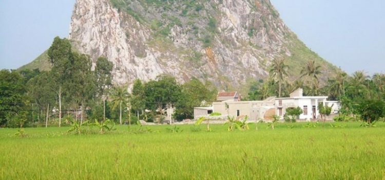 QUẦN THỂ LÈN HAI VAI, NGHỆ AN