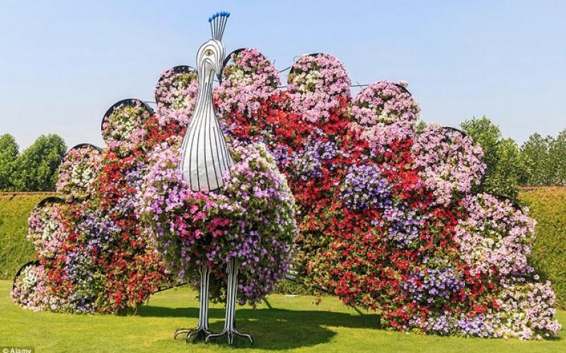 DUBAI – ADU DHABI: Tour DuBai tháng 04/2018
